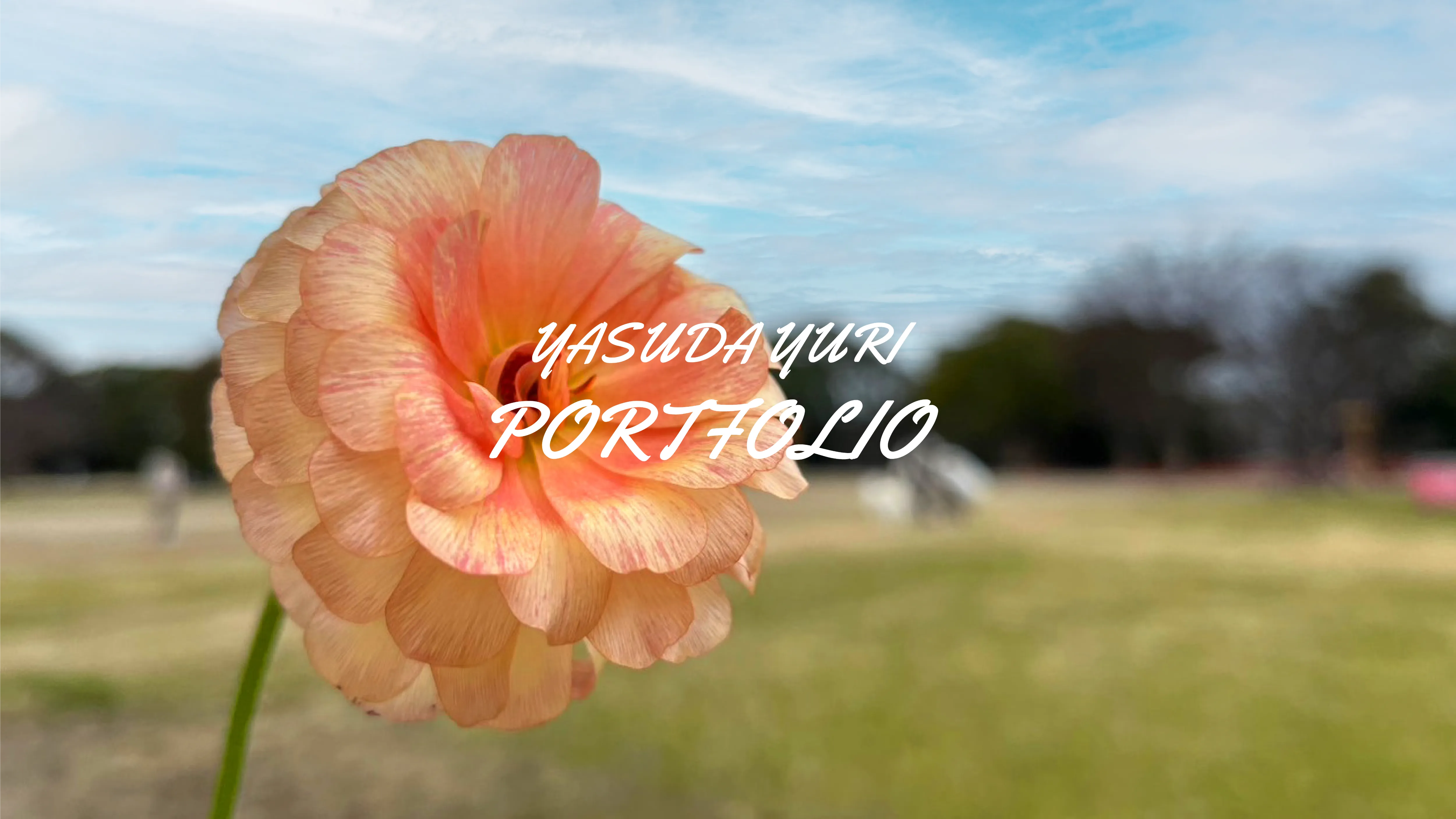 ファーストビュー