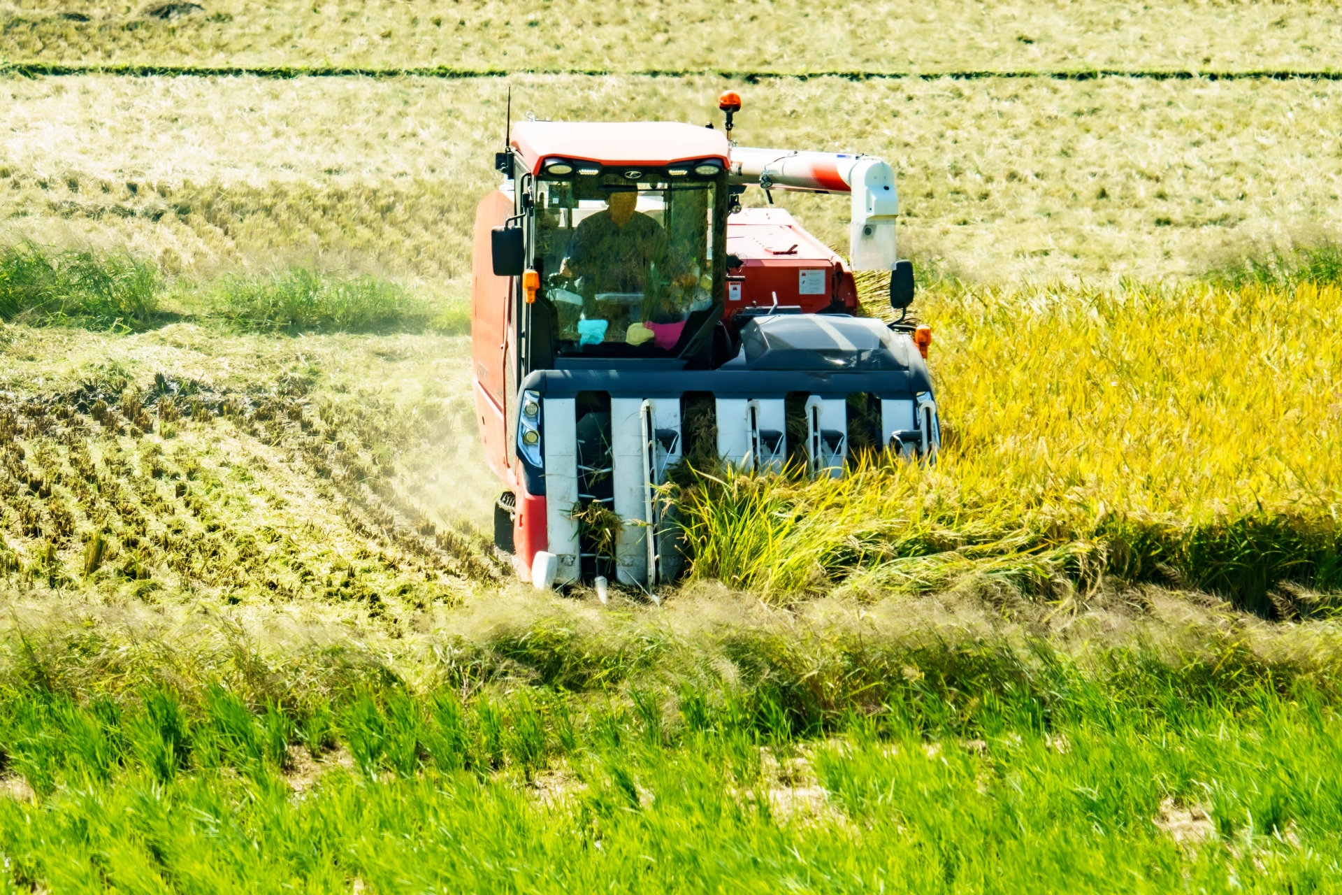 田んぼで作業する農家さん
